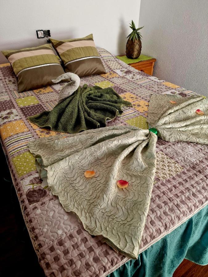 Apartament Carmen Torrevieja Extérieur photo