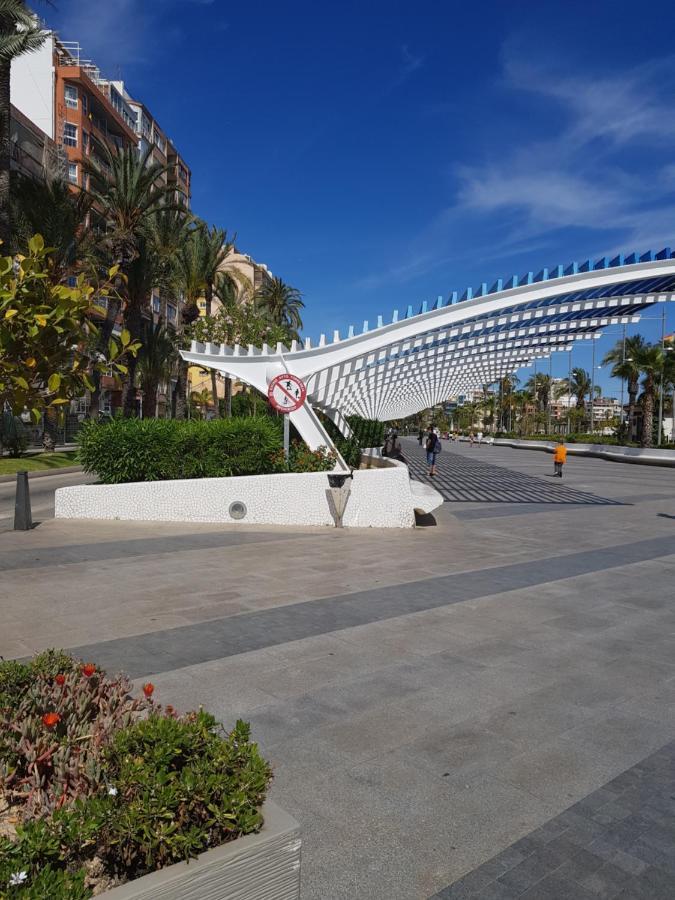 Apartament Carmen Torrevieja Extérieur photo