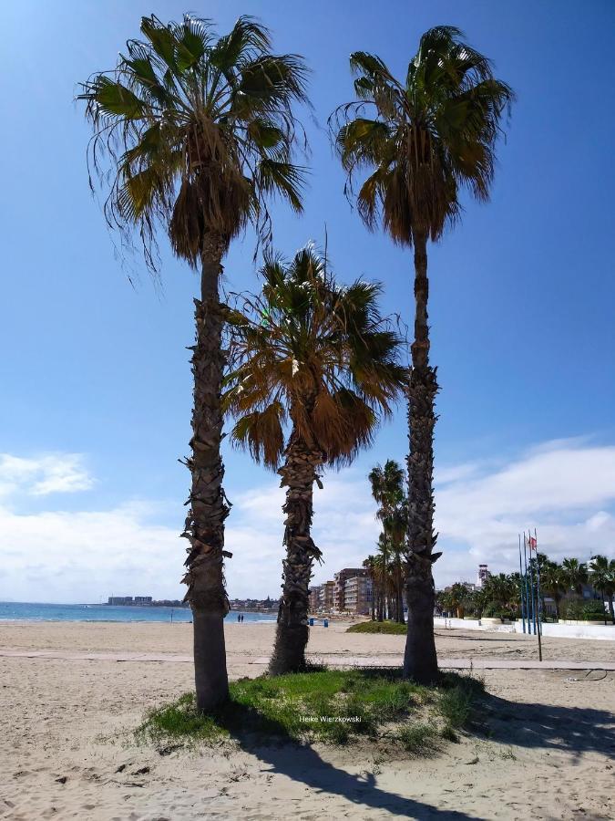 Apartament Carmen Torrevieja Extérieur photo
